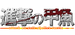 進撃の甲魚 (attack on soft-shelled turtle )