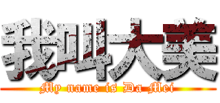 我叫大美 (My name is Da Mei)