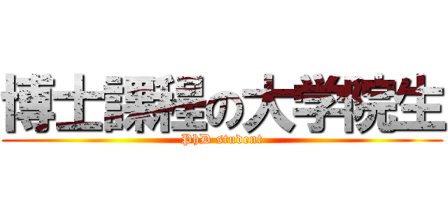 博士課程の大学院生 (PhD student)