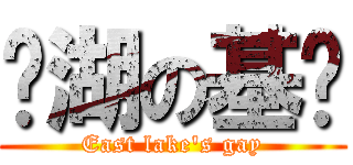 东湖の基佬 (East lake\'s gay)