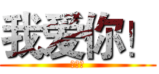 我爱你！ (王亚丽)