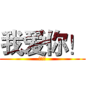 我爱你！ (王亚丽)
