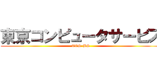 東京コンピュータサービス (TCS-BS)