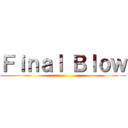 Ｆｉｎａｌ Ｂｌｏｗ ()