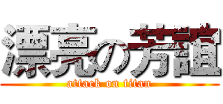 漂亮の芳誼 (attack on titan)