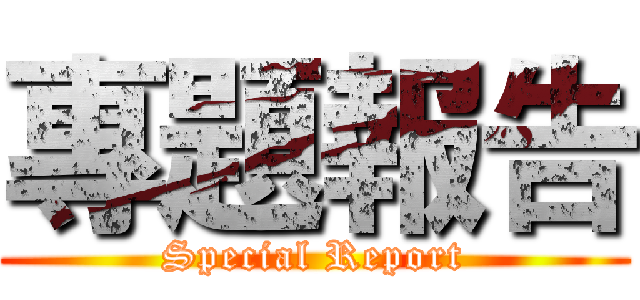 專題報告 (Special Report)