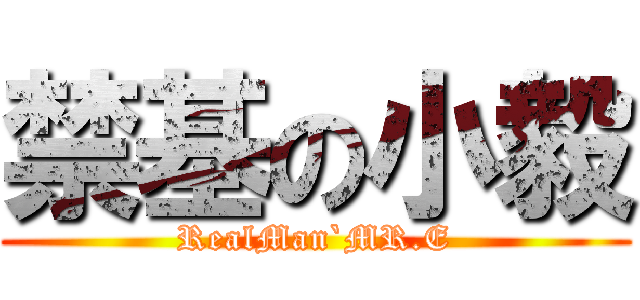 禁基の小毅 (RealMan`MR.E)