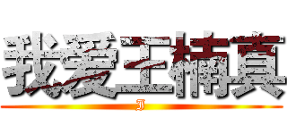 我爱王楠真 (I)