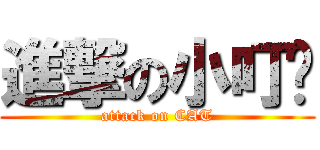 進撃の小叮噹 (attack on CAT)