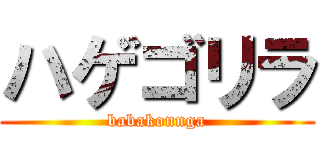 ハゲゴリラ (babakonnga)