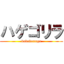 ハゲゴリラ (babakonnga)