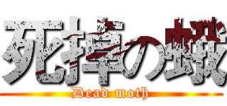 死掉の蛾 (Dead moth)