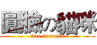 圓臉の貓咪 (face is round)