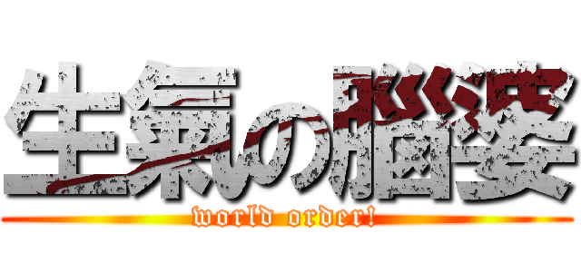 生氣の腦婆 (world order!)