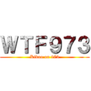 ＷＴＦ９７３ (Kikoo on 973)