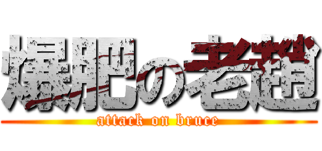 爆肥の老趙 (attack on bruce)
