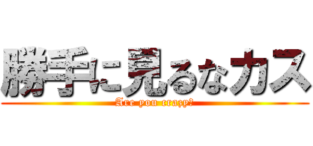 勝手に見るなカス (Are you crazy?)