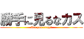 勝手に見るなカス (Are you crazy?)