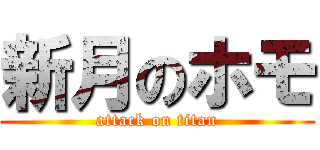 新月のホモ (attack on titan)