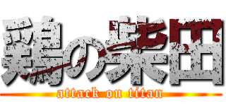 鶏の柴田 (attack on titan)