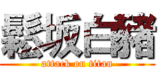 鬆坂白豬 (attack on titan)