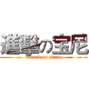 進擊の宝尼 (attack on titan)