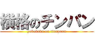 横格のチンパン (yokokaku on tinnpann)