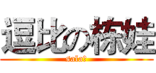 逗比の栋娃 (sala？)