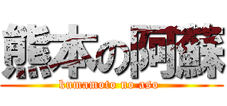 熊本の阿蘇 (kumamoto no aso )