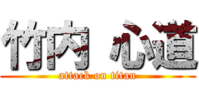 竹内 心道 (attack on titan)