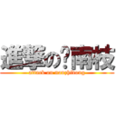 進撃の东南枝 (attack on nanzhidong)