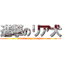 進撃のリア犬 (attack on yamachan)