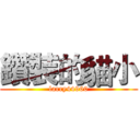 鑽裝的貓小 (larry44960)