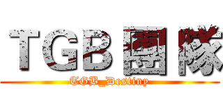 ＴＧＢ 團 隊 (TGB_Destiny)