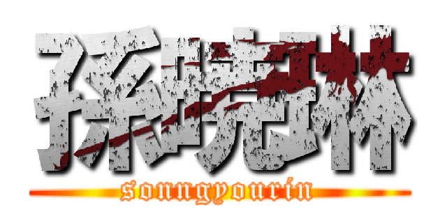 孫暁琳 (sonngyourin)