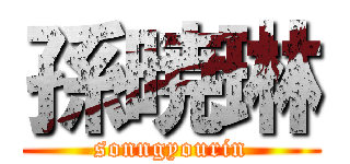 孫暁琳 (sonngyourin)