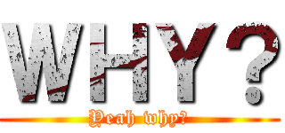 ＷＨＹ？ (Yeah why?)