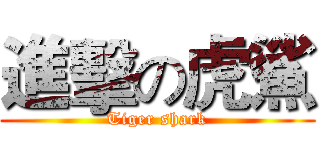 進擊の虎鯊 (Tiger shark)