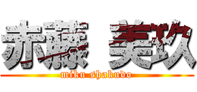 赤藤 美玖 (miku shakudo)