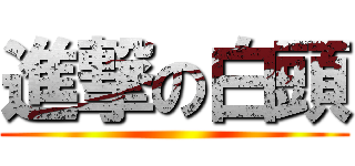 進撃の白頭 ()