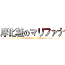 厚化粧のマリファナ ()