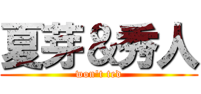 夏芽＆秀人 (won't ted)
