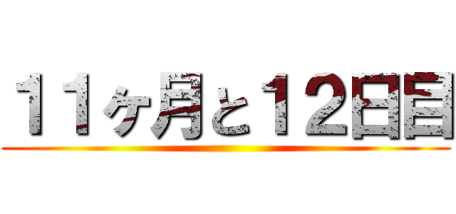 １１ヶ月と１２日目 ()