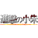 進擊の小朱 (attack on shaw zhu)