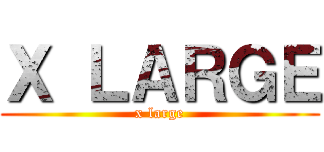Ｘ ＬＡＲＧＥ (x large)
