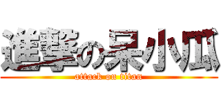 進撃の呆小瓜 (attack on titan)
