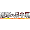 進撃の呆小瓜 (attack on titan)