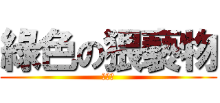 綠色の猥褻物 (苦力怕)