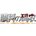 膜拜の码农 (orz on coder)