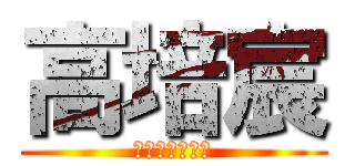 高培宸 (四大武功掌門人)